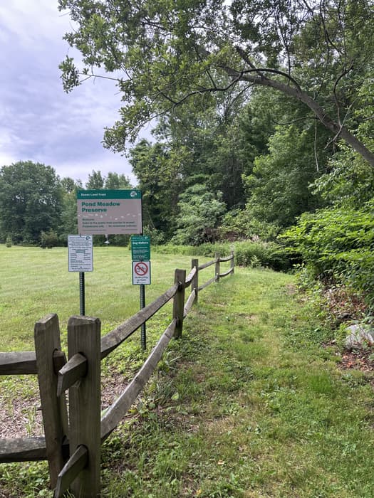 Pond Meadow