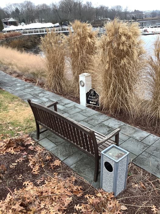 Bench and trailhead - Saugatuck Rowing Club (Credit: C. Kelly)