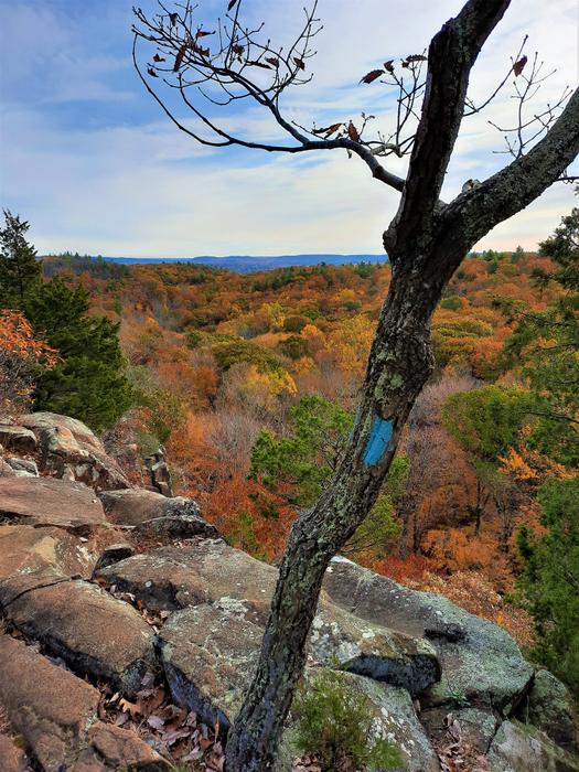 (Credit: Jason Bini)