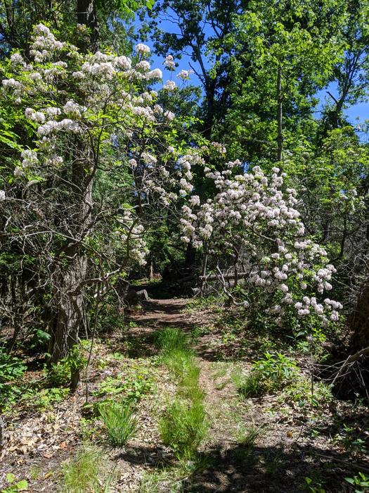 (Credit: Sandra Glick)