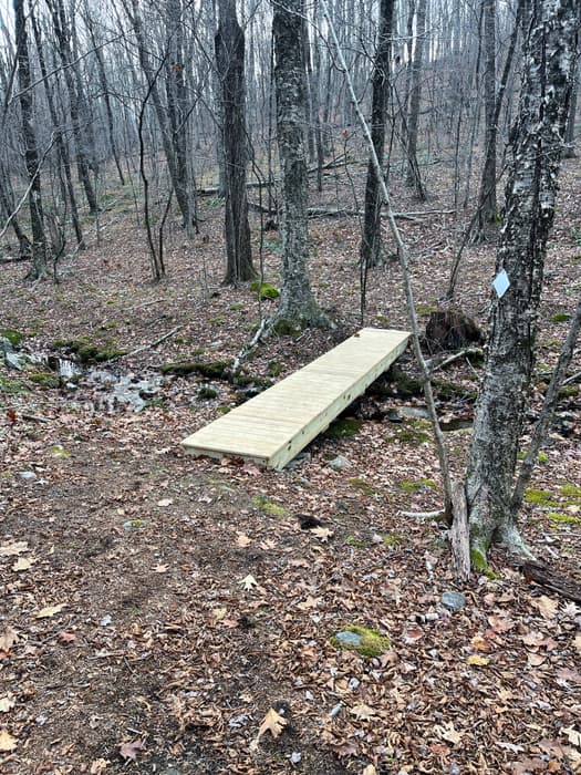 bridge over Spruce Brook, built by Morris Scout Troop 28 (Credit: Ben Solnit)