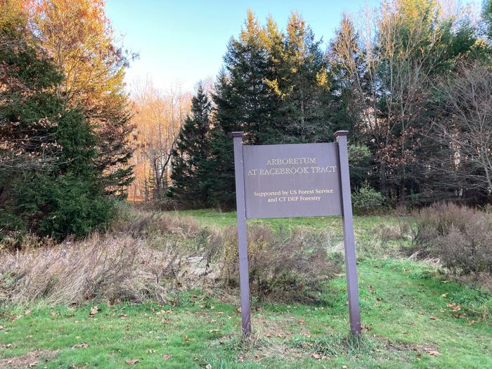 Arboretum (Credit: TF staff/ AK)