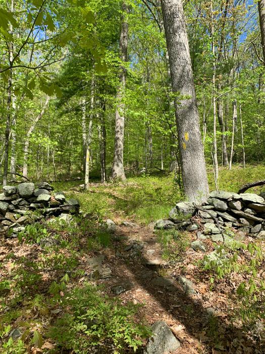 Rankin Preserve