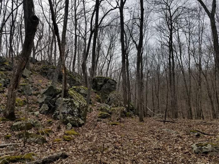 (Credit: Avalonia Land Conservancy)