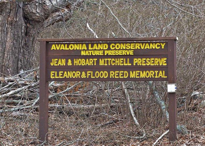 (Credit: Avalonia Land Conservancy)