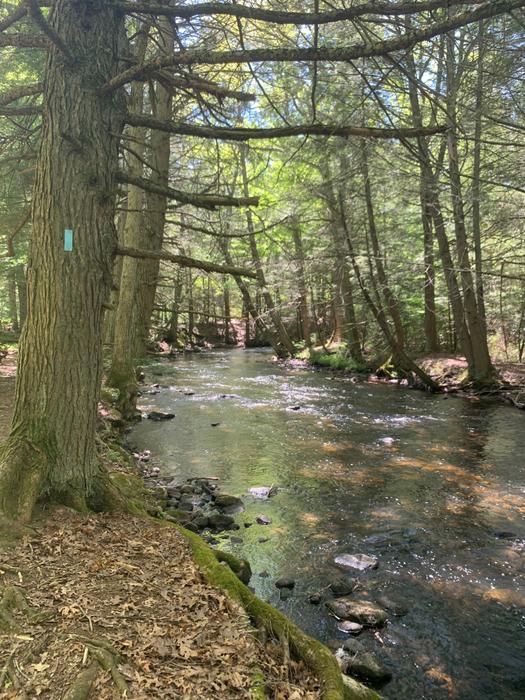 Torrey Preserve
