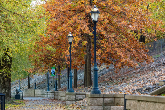 Riverfront Recapture Four Park Loop