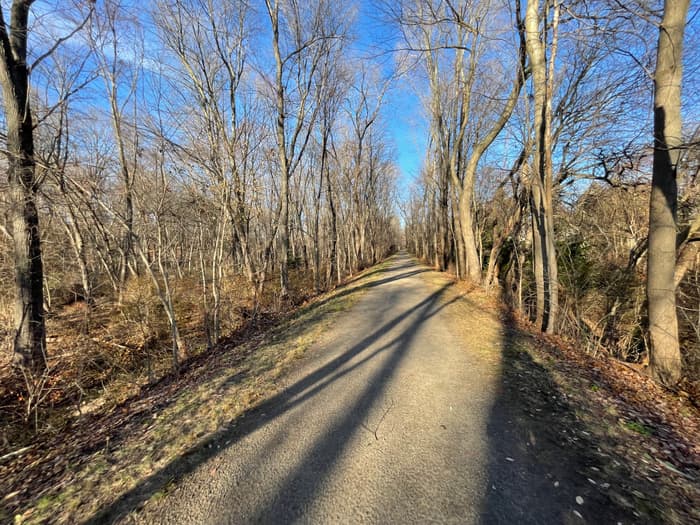 forested trail section on a sunny winter day (Credit: John Bolduc)
