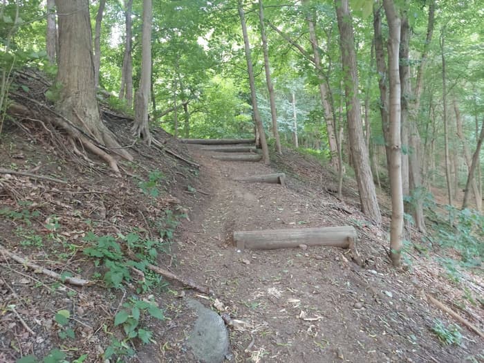 forested dirt trail section with wooden stairs (Credit: Bob Lazzari)