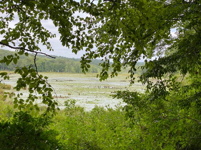 Sheepskin Hollow Preserve