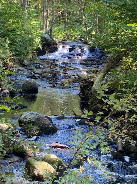 Sheepskin Hollow Preserve