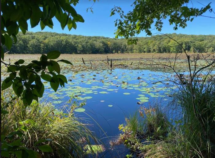 Sheepskin Hollow Preserve