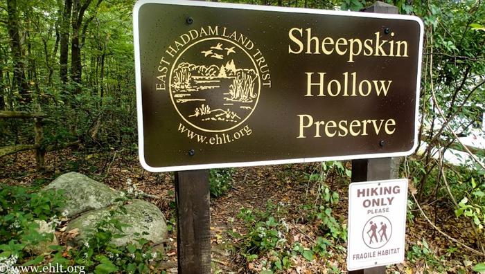 Sheepskin Hollow Preserve