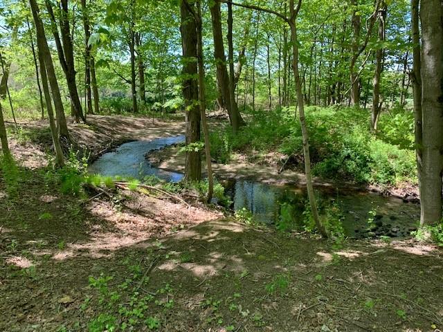 Strong Meadow Preserve