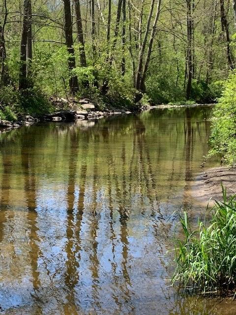 Strong Meadow Preserve