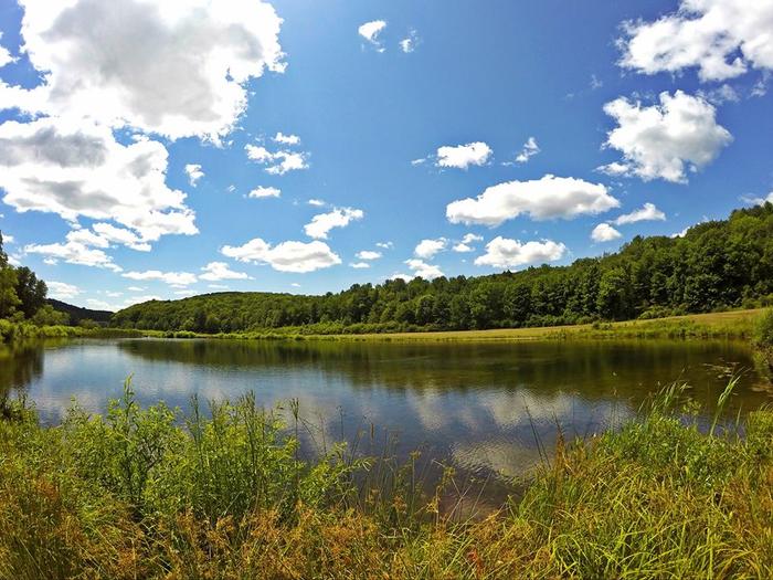 Sunny Brook State Park