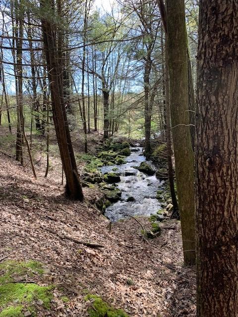 Trolley Bed Preserve
