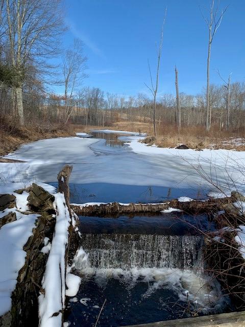 Trolley Bed Preserve