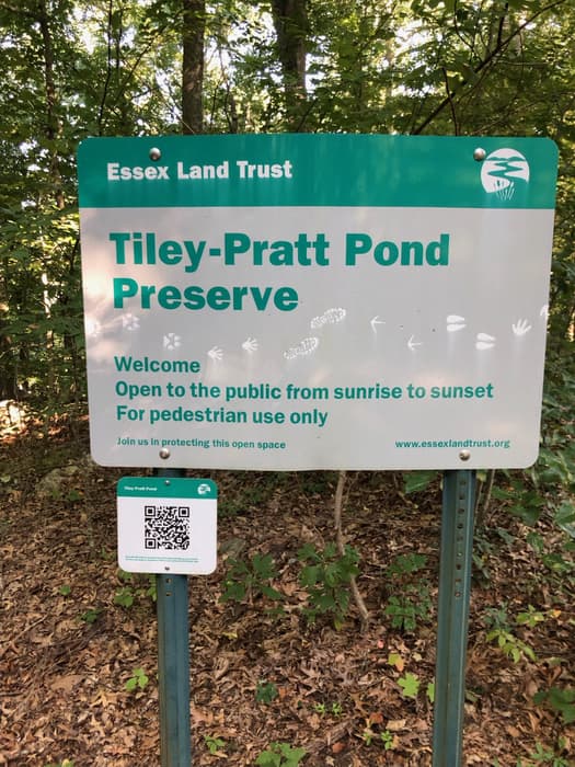 Tiley Pratt Pond