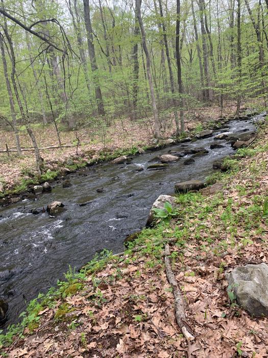 Tinkerville Brook