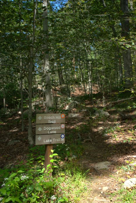Greenwich Audubon Center