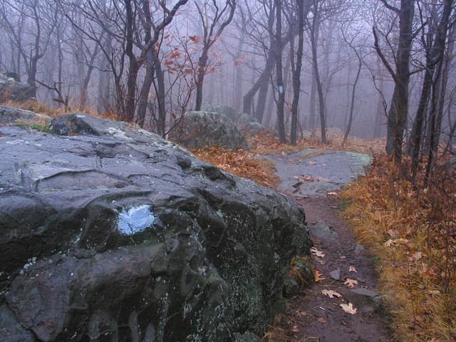 Trail in Mist (Credit: B. Pagini)