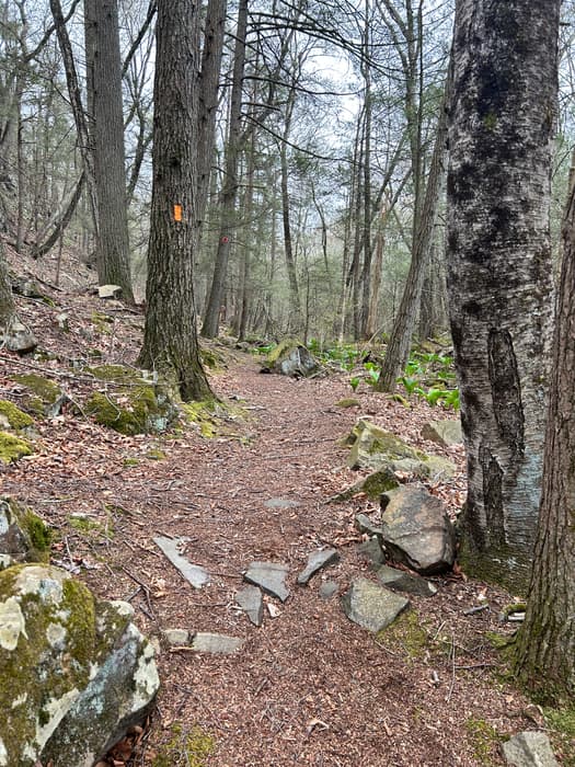 Orange Trail (Credit: Sheila Dravis-Cosgrove)