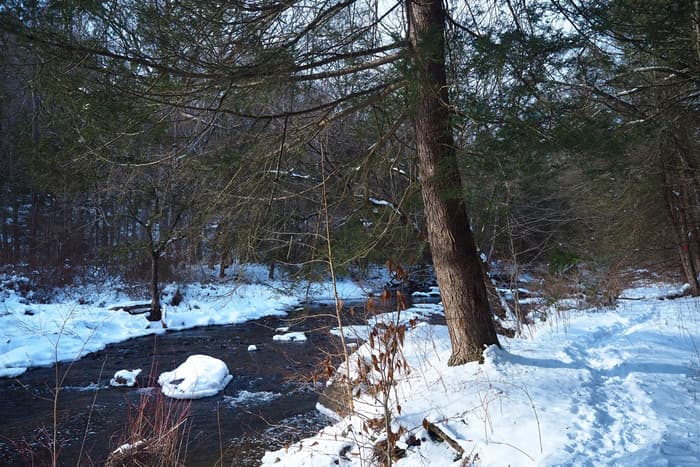 Medicine Rock Trail (Credit: Scott Butwill)