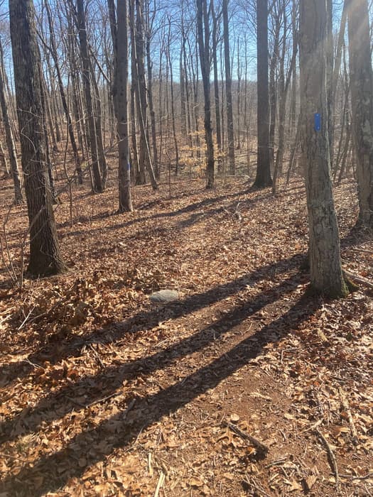 Walking along the blue trail (Credit: Bob Harrison)