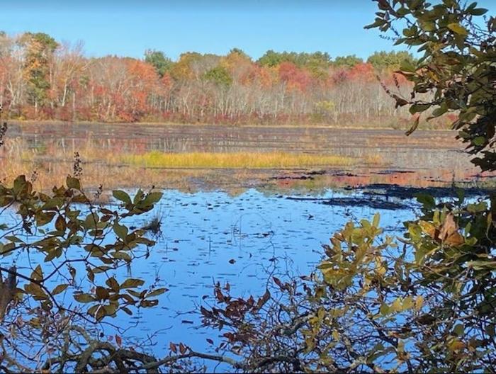 William Jezek Preserve