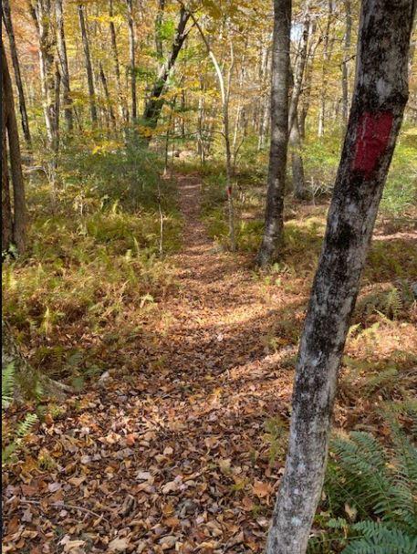 William Jezek Preserve