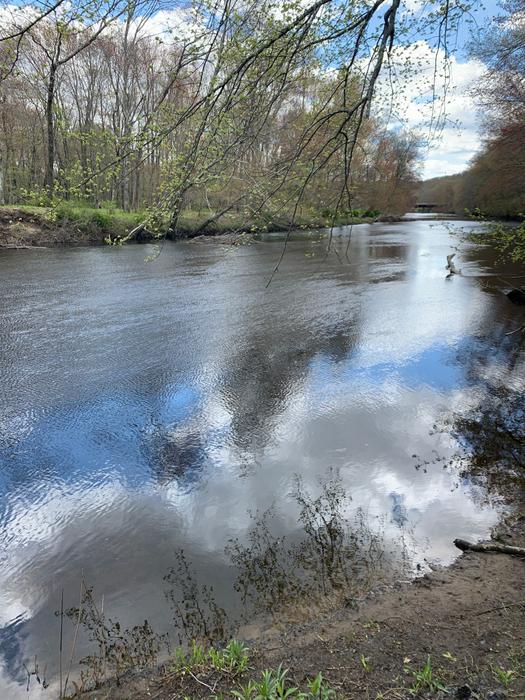 Potter Meadow