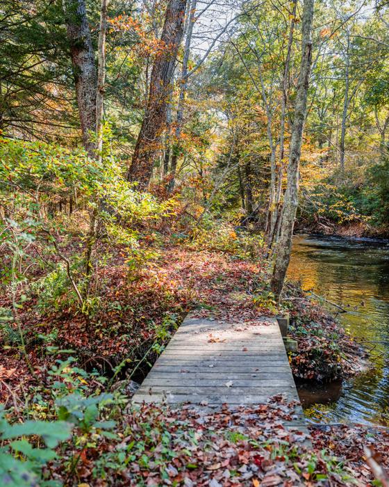 (Credit: Photo Credit- Milton Levin, Levin Aerial Works)