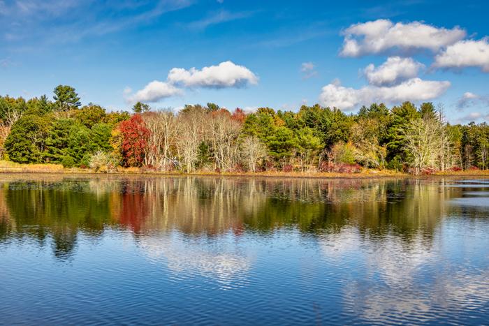 (Credit: Photo Credit- Milton Levin, Levin Aerial Works)