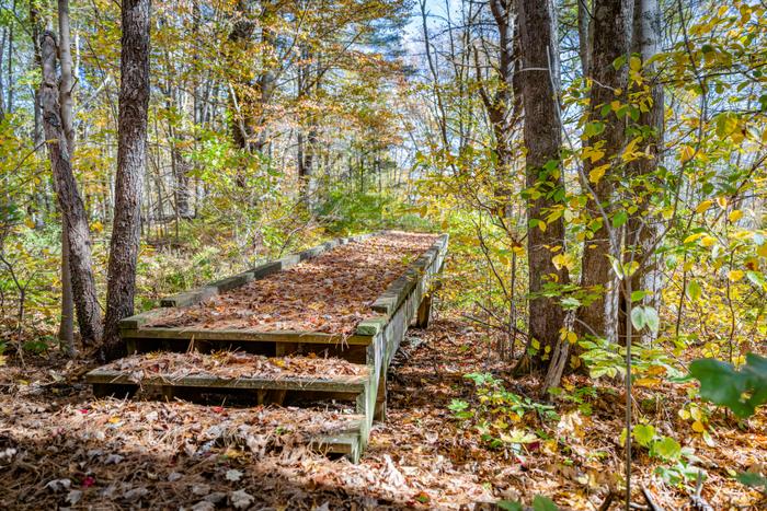 (Credit: Photo Credit- Milton Levin, Levin Aerial Works)