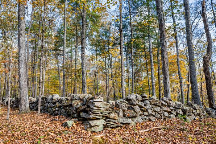 (Credit: Credit: Milton Levin, Levin Aerial Works)