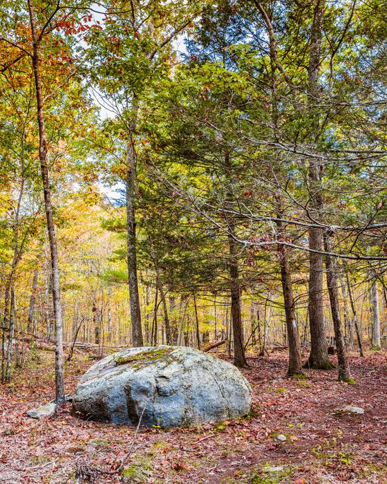 (Credit: Credit: Milton Levin, Levin Aerial Works)