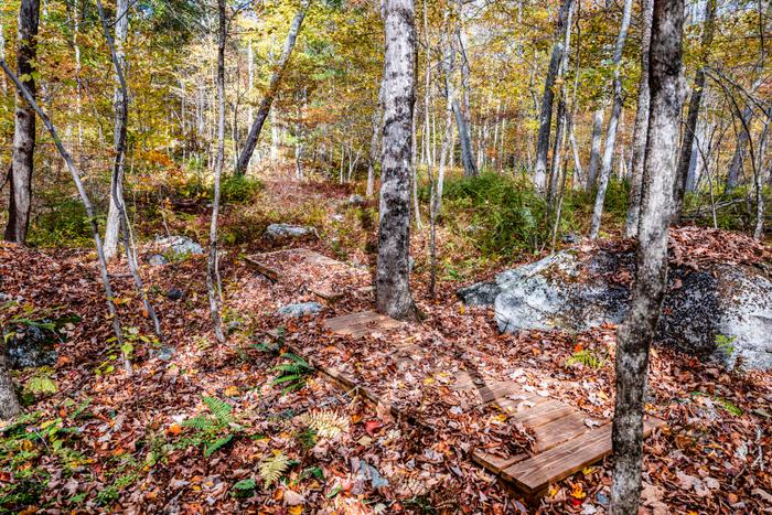 (Credit: Credit: Milton Levin, Levin Aerial Works)