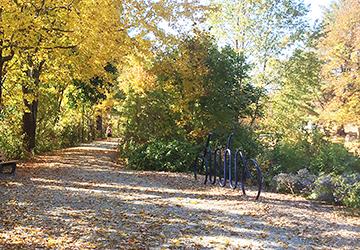 Bike rack (Credit: Litchfield Community Greenway)