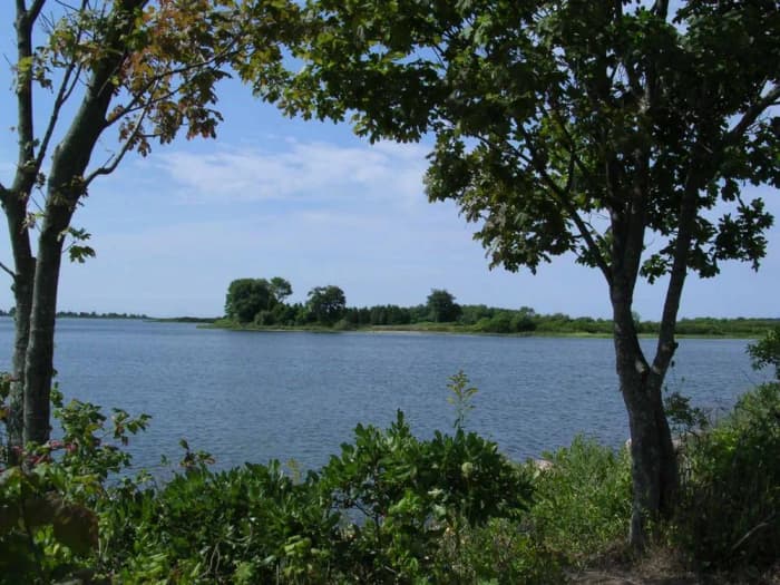 Bluff Point State Park (Credit: CT DEEP)