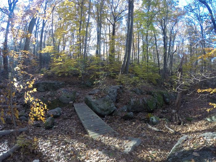 Late Autumn at Barrett Preserve (Credit: Kimberly Bradley)