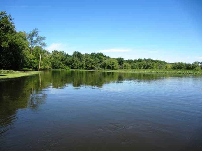 Floating Meadows (Credit: CRCCD)