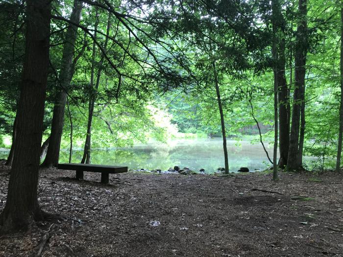 Cherry Lane Park Pond (Credit: Zen Herter)
