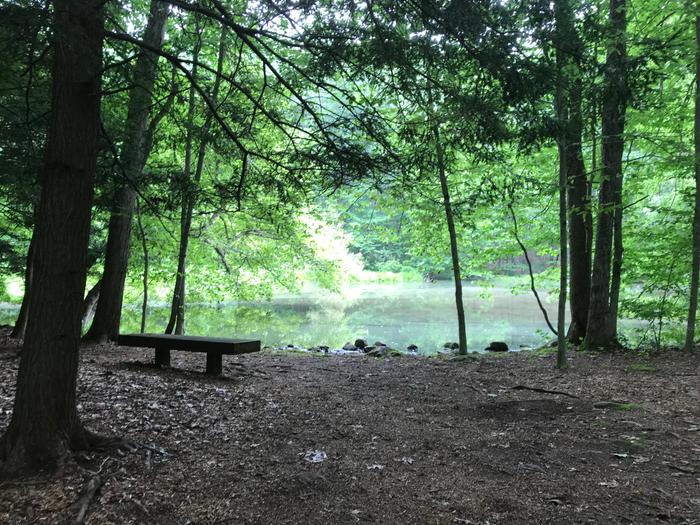 Cherry Lane Park Pond (Credit: Zen Herter)