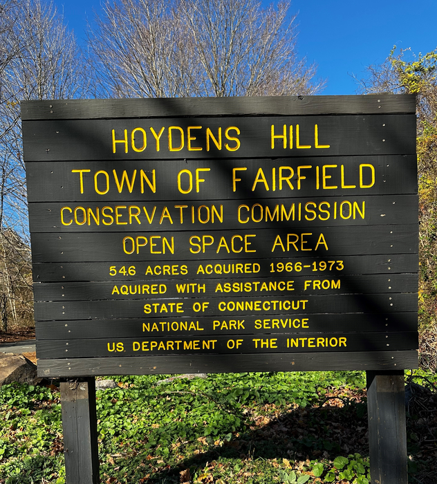 Hoyden's Hill