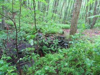 Crystal Peat Conservation Area