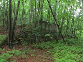Crystal Peat Conservation Area