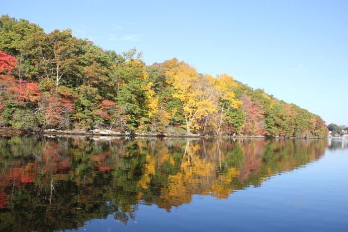 a scenic view of a pond with green, yellow, and red fall leaves on forest trees