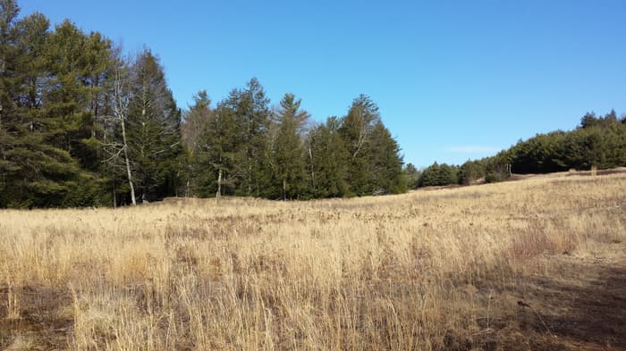 Robbins/O'Leary/Blain Preserve