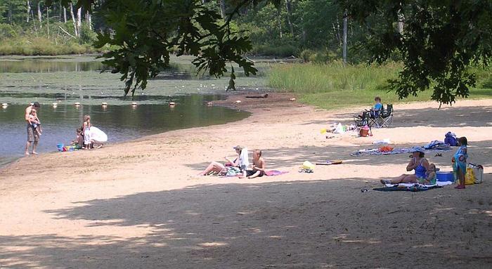 Gay City State Park and Meshomasic State Forest